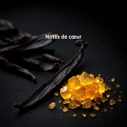 Numéro 14 Brumance Paris