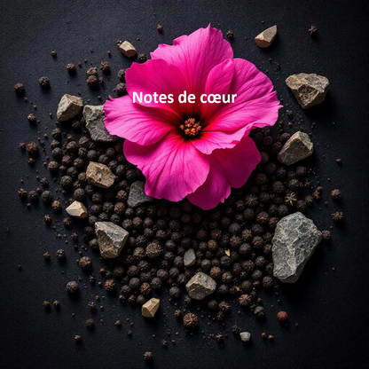 Numéro 12 Brumance Paris